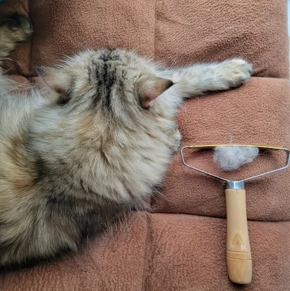 Singular roller handle, versatile for removing pet fur across many surfaces!